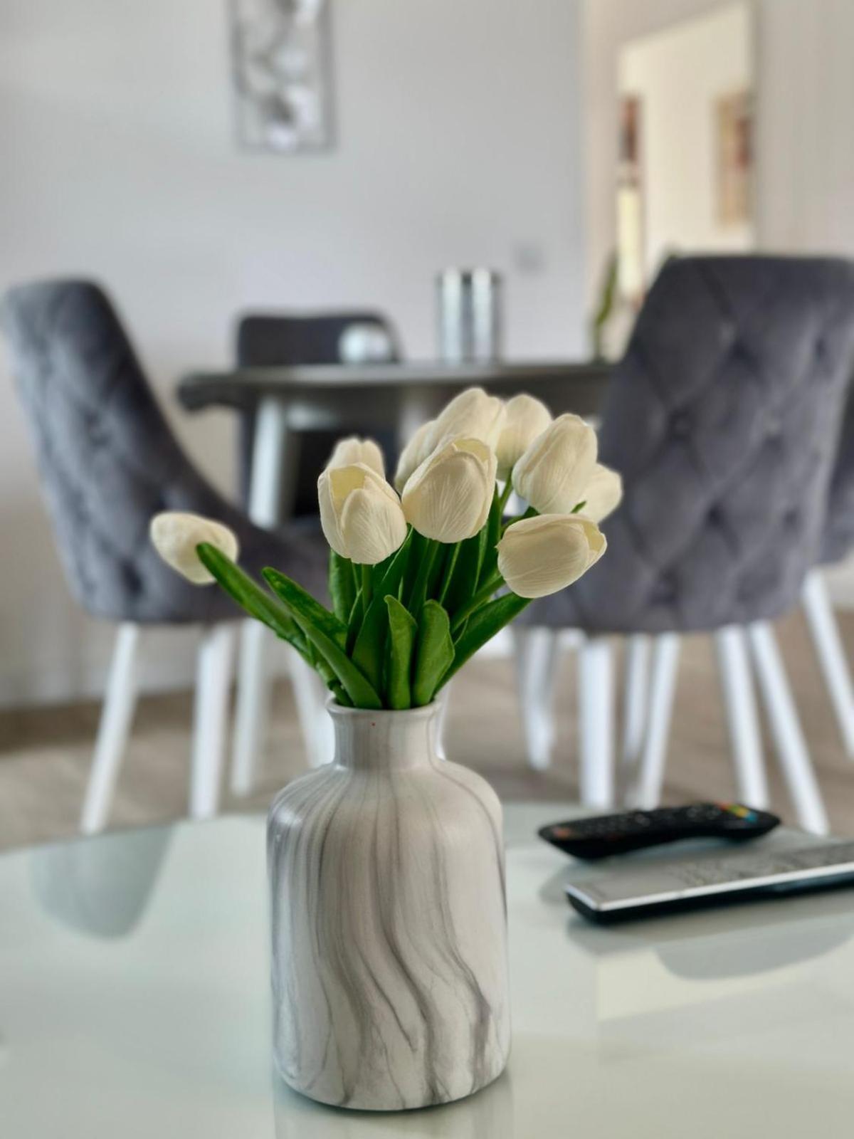 Appartamento Apartments Teodo *