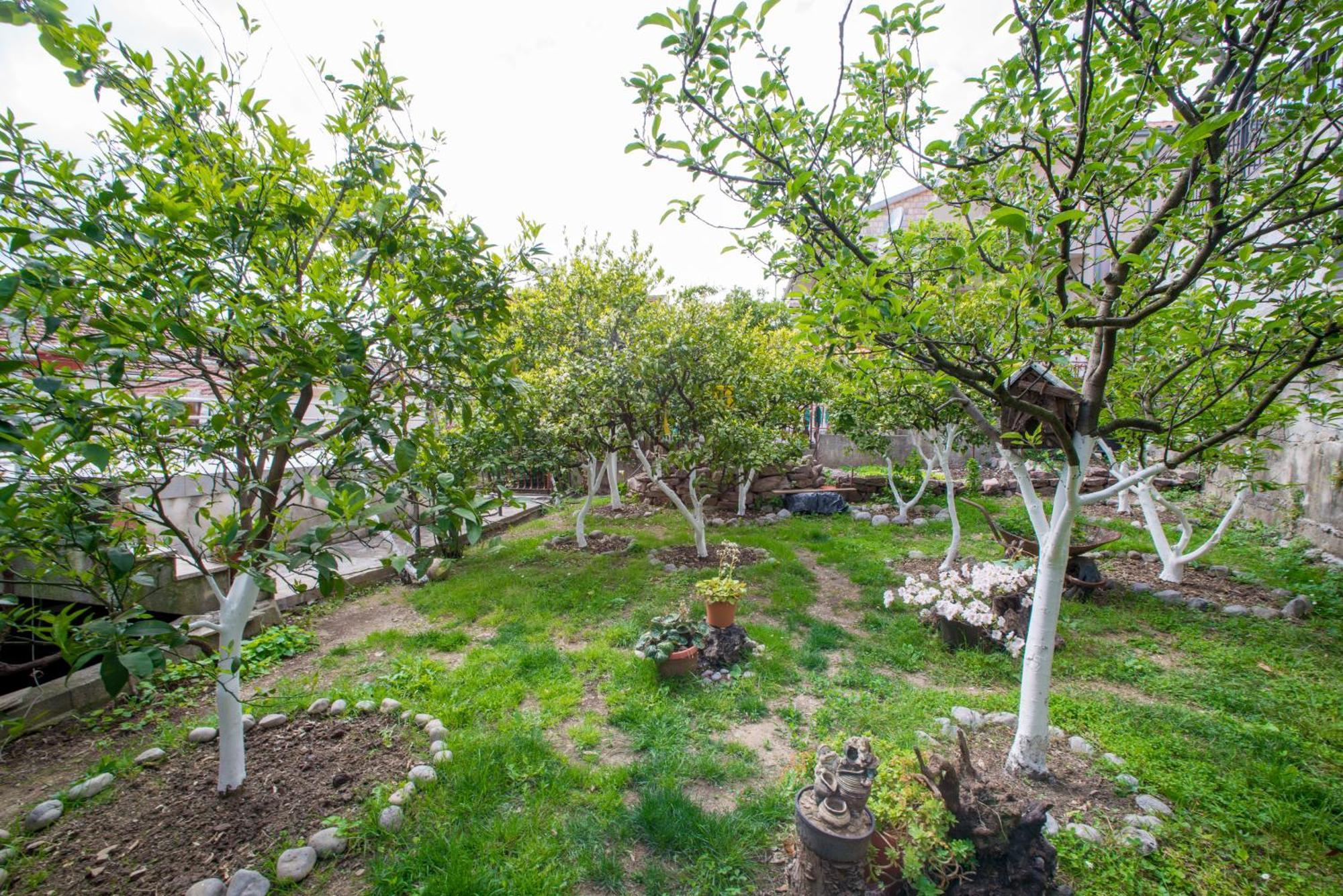 Appartamento Apartments Teodo Teodo